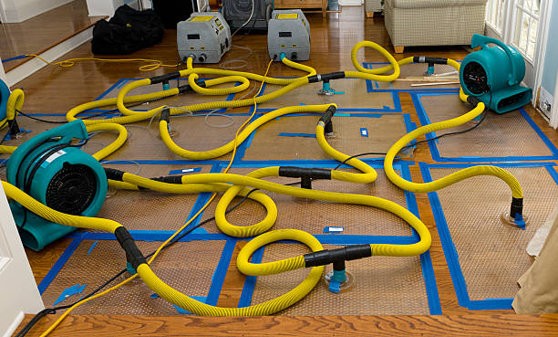 Professional Basement Flood Cleanup technician working in Delmont, PA